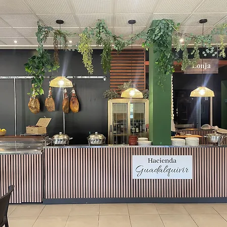 Hacienda Guadalquivir Hotel Cordova