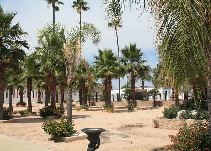 Hacienda Guadalquivir 科爾多瓦