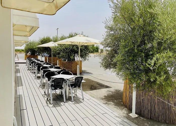 Hacienda Guadalquivir 科爾多瓦